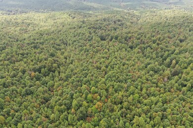 0 Old Hwy 20, Linden, TN 37096 - photo 7