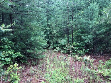 Lot 61 Deer Run, Purlear, NC 28665 - photo 6