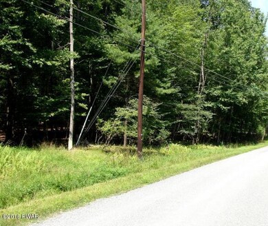 843 Tink Wig Dr, Lackawaxen Township, PA 18428 - photo 3