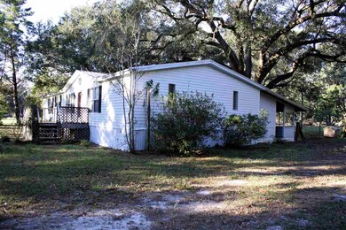 44 Centipede Dr, Crawfordville, FL 32327 - photo 3