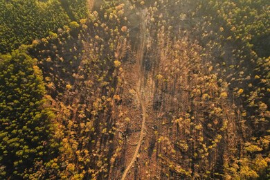 0 Sand Hill Rd unit 11389907, Brandon, MS 39047 - photo 7