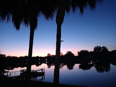 9135 Lingrove Rd, Weeki Wachee, FL 34613 - photo 3