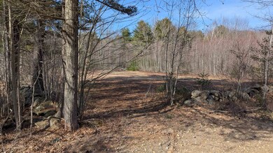 Roadside Field Lot 1