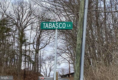 70 Tabasco Ln, Hedgesville, WV 25427 - photo 2