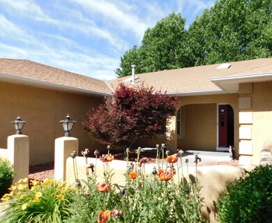 4705 Samantha Ln, Farmington, NM 87402 - photo 3