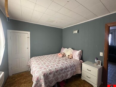 204 2nd St, Pender, NE 68047 - photo 4