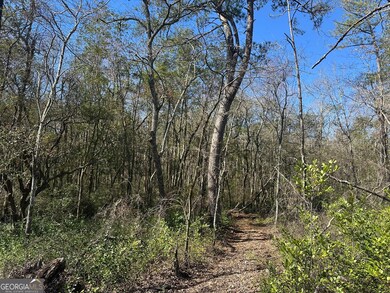 0 Mt Sinai Church Rd unit 10555546, Butler, GA 31006 - photo 6