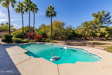 Resort style backyard