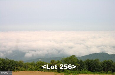 Lot 256 S Branch Mountain Rd, Moorefield, WV 26836 - photo 4
