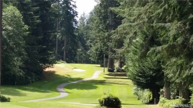 8904 126th Av Ct, Anderson Island, WA 98303 - photo 6