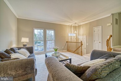 20343 Briarcliff Terrace, Sterling, VA 20165 - photo 7