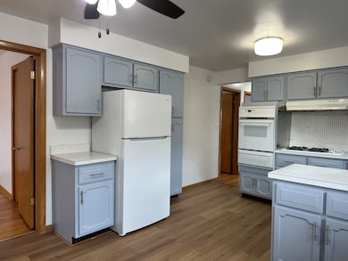 2538 N 75th Ave unit 2, Elmwood Park, IL 60707 - photo 7