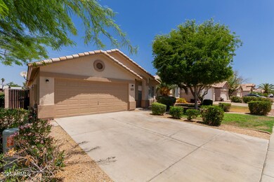 03 - Shaw Butte 8614