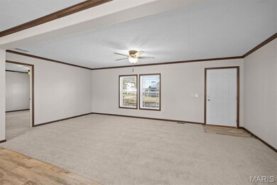 113 N Oak St, Hoffman, IL 62250 - photo 5