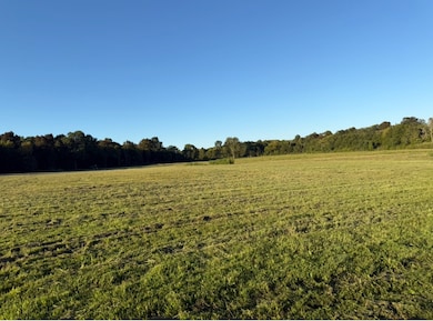 0 Minkslide Rd, Bell Buckle, TN 37020 - photo 3