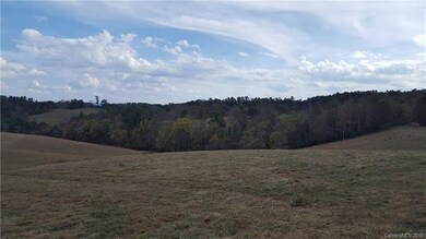 7 Bob Wright Hill Rd, Leicester, NC 28748 - photo 2