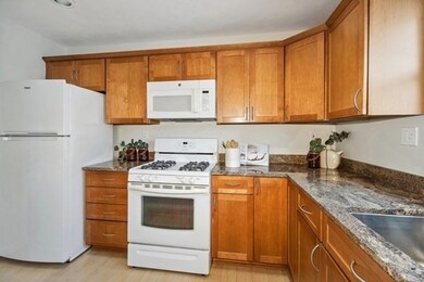 391 Hyde Park Ave unit 207, Roslindale, MA 02131 - photo 7