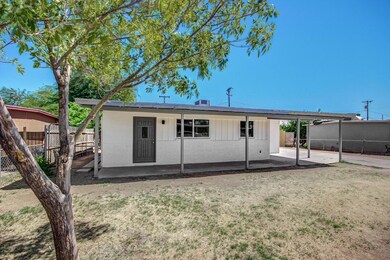 0003-Palm Lane (3)
