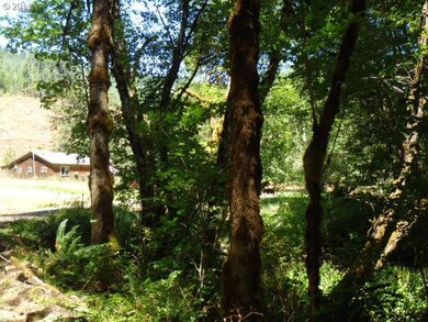 17508 Nonpareil Rd, Sutherlin, OR 97479 - photo 7