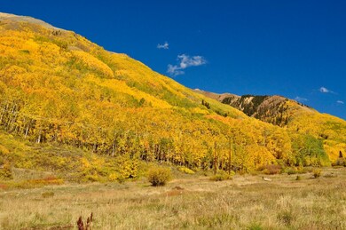 0 Aurum St unit 1-8, Ophir, CO 81426 - photo 4