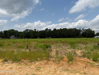 Actual Street view Lot 11