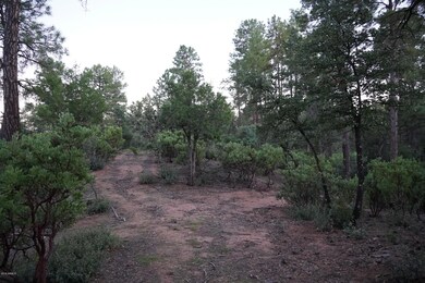 DSC01214