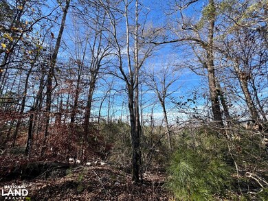 0 Old Claiborne Rd unit 25514029, Thomasville, AL 36784 - photo 3