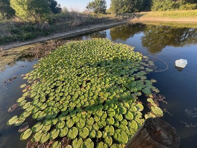 9559 County Road 133, Brownwood, TX 76801 - photo 4