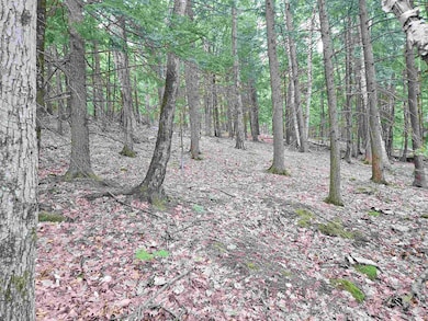 Map 132 Lot 115 Arrowhead Ln, Gilmanton, NH 03237 - photo 6