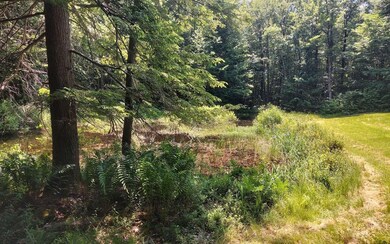 Lot #3 Borough Rd, Charlestown, NH 03603 - photo 6