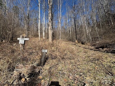 TBD Glen Valley Dr unit 187,200, Weaverville, NC 28787 - photo 5