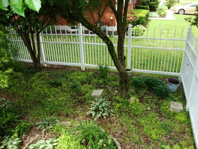 Fenced Backyard