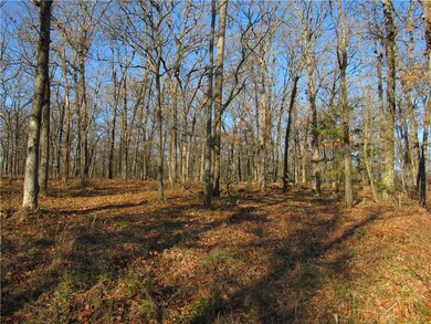 TBD LOT 1 Highway 43, Siloam Springs, AR 72761 - photo 6