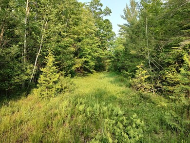 IMG_20230606_185221358_HDR