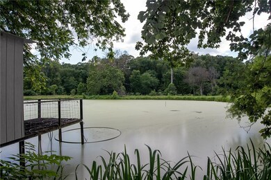 Pond