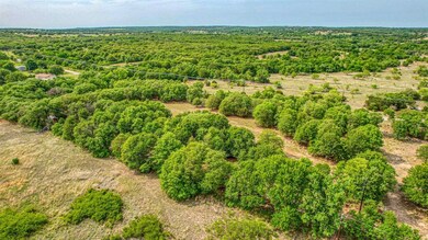TBD 000 E Dry Creek Rd, Poolville, TX 76487 - photo 6