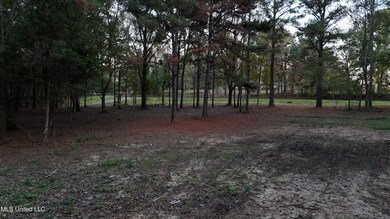 dji_fly_20251106_165400_0443_17630797112