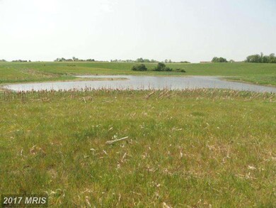 0 Pond Neck Rd unit 1002608988, Earleville, MD 21919 - photo 5