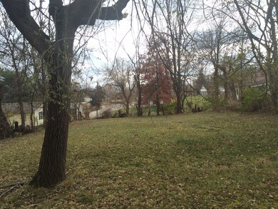 Backyard.JPG