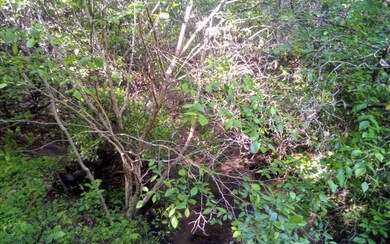 0 Fielder Rd unit 297232, Ellijay, GA 30536 - photo 4