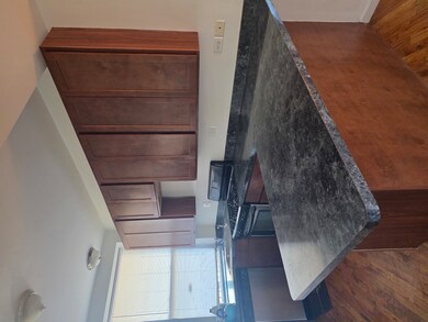 820 E 44th St unit 2, Chicago, IL 60653 - photo 3