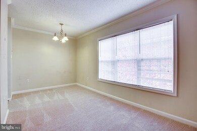 15508 Horseshoe Ln unit 508, Woodbridge, VA 22191 - photo 5