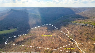 0 Lee Station Mountain Rd, Pikeville, TN 37367 - photo 3