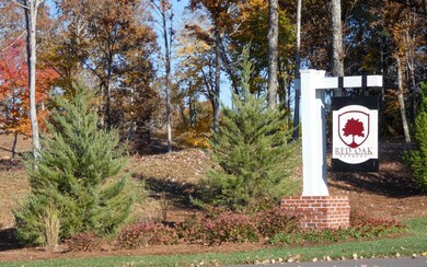 LT 7 Mystic Dr, Ellijay, GA 30540 - photo 2