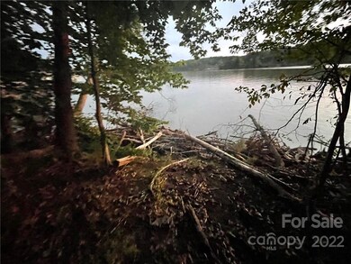 View from water's edge