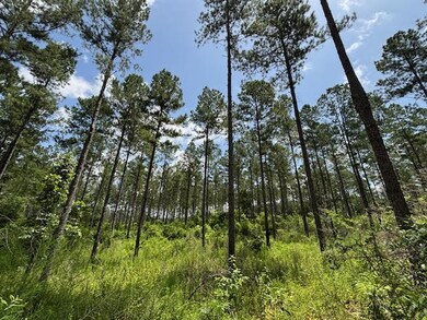 182 Highway 44, Jayess, MS 39641 - photo 2