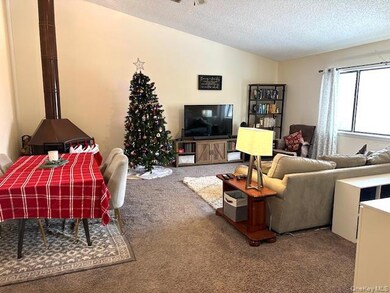 4204 Fox Ln unit 11-B, Poughkeepsie, NY 12603 - photo 7