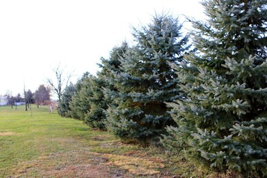 1340 Heinle Rd, Bucyrus, OH 44820 - photo 3