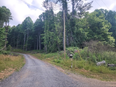 TBD Starmount Ln, Galax, VA 24333 - photo 3