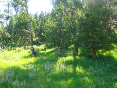 0 Rail Canyon Rd unit 17074578, Joseph, OR 97846 - photo 7